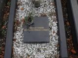 image of grave number 232053